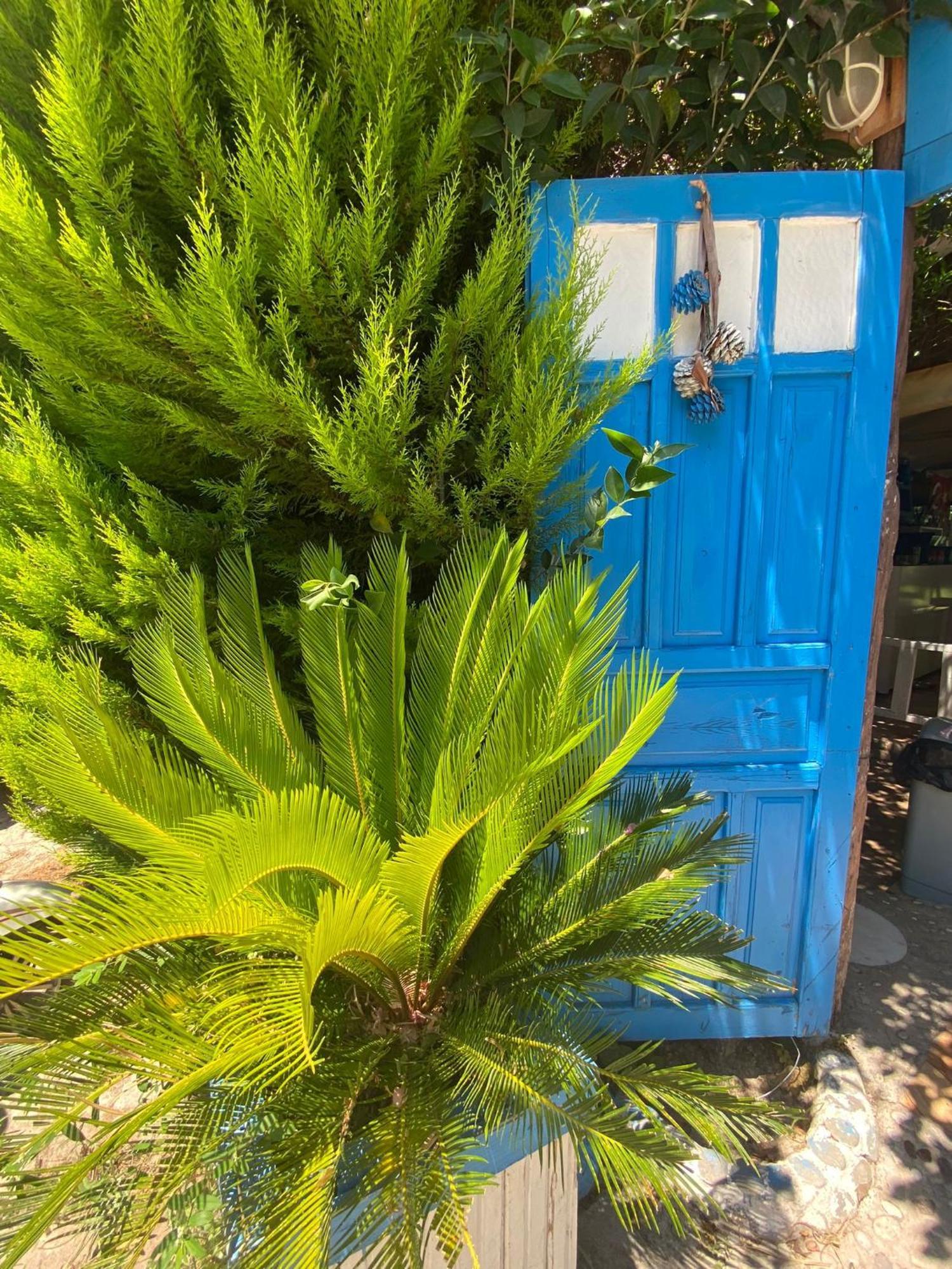 Mila Pansiyon Çıralı Exterior foto