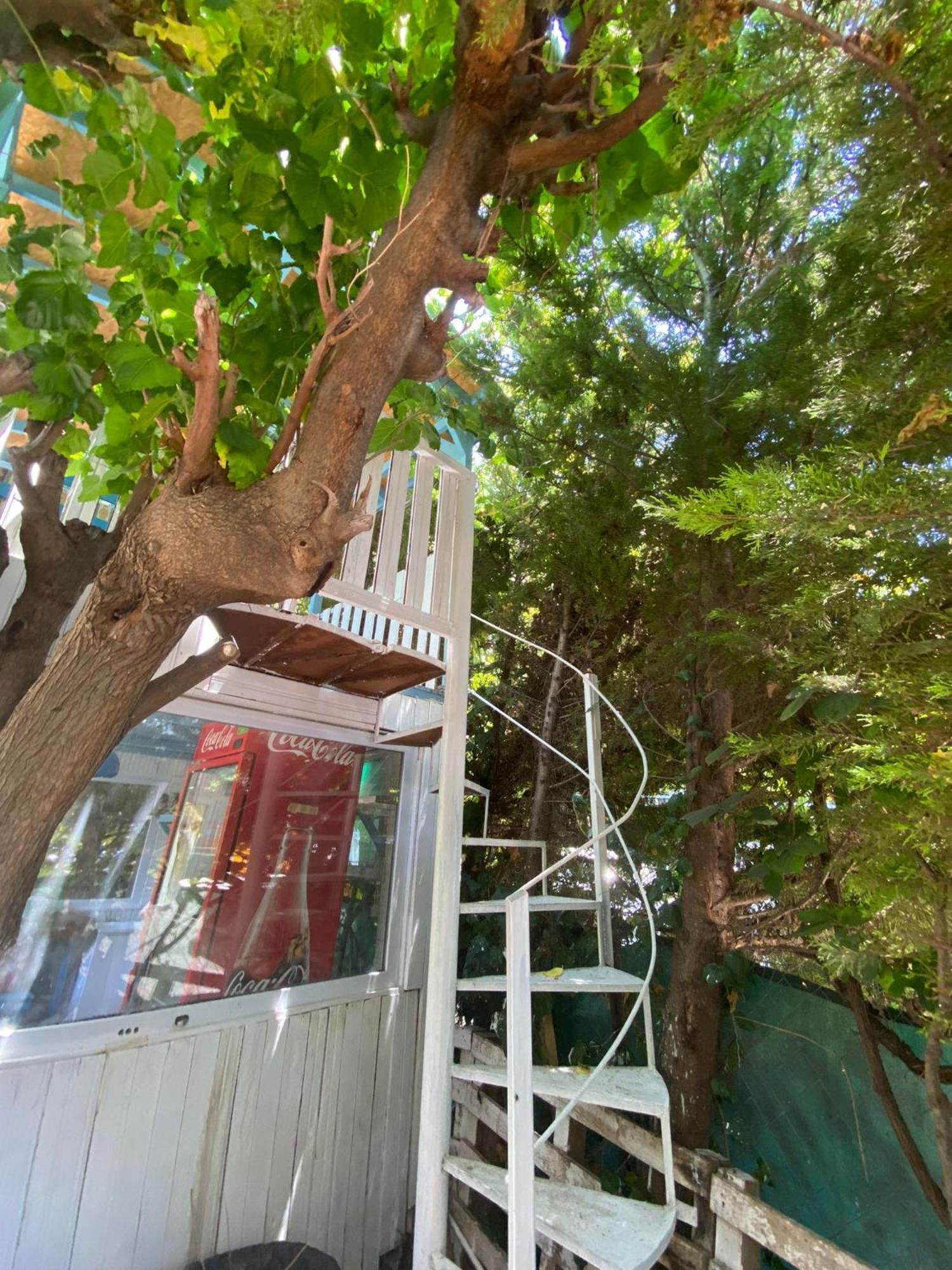 Mila Pansiyon Çıralı Exterior foto