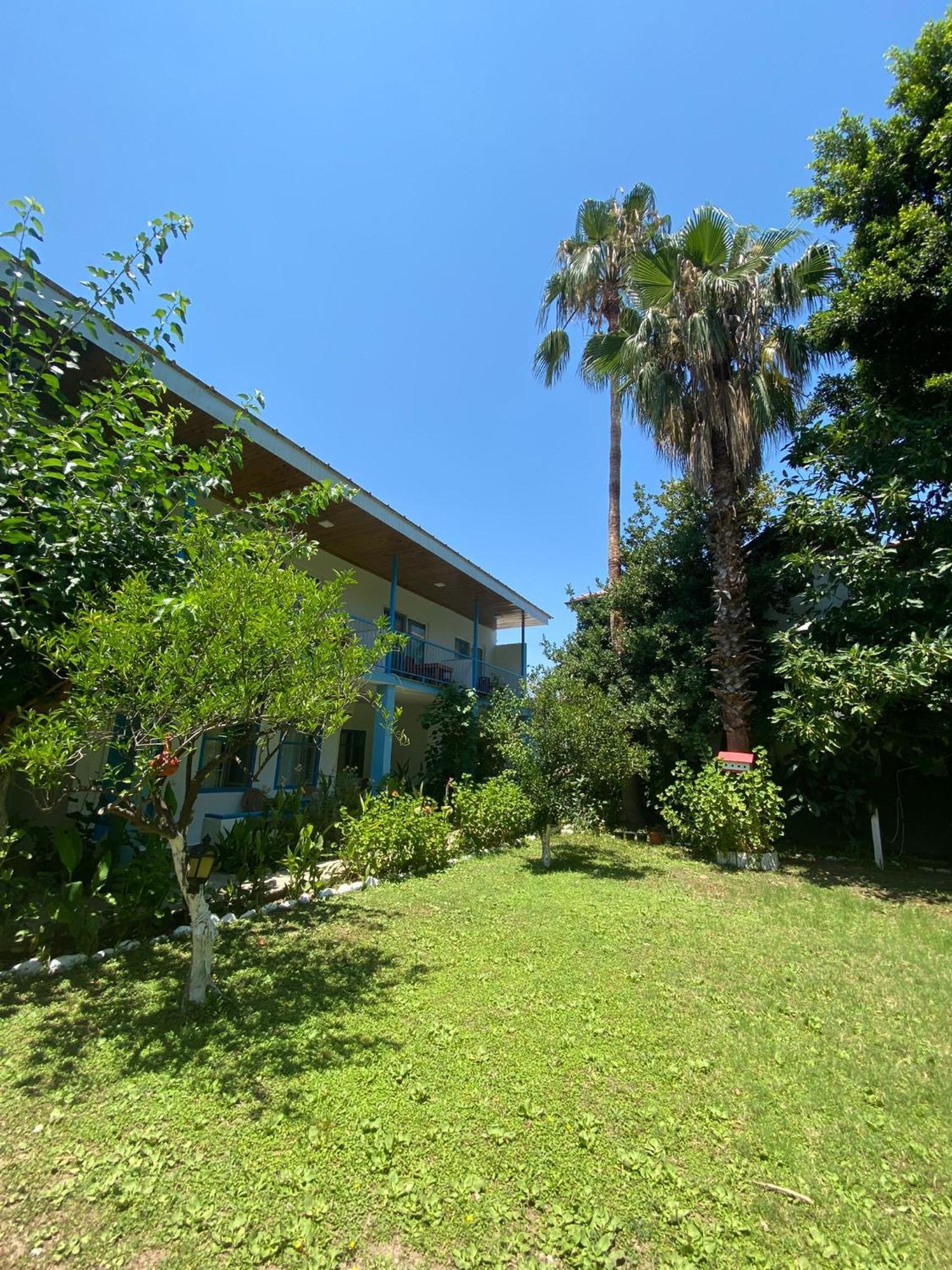 Mila Pansiyon Çıralı Exterior foto