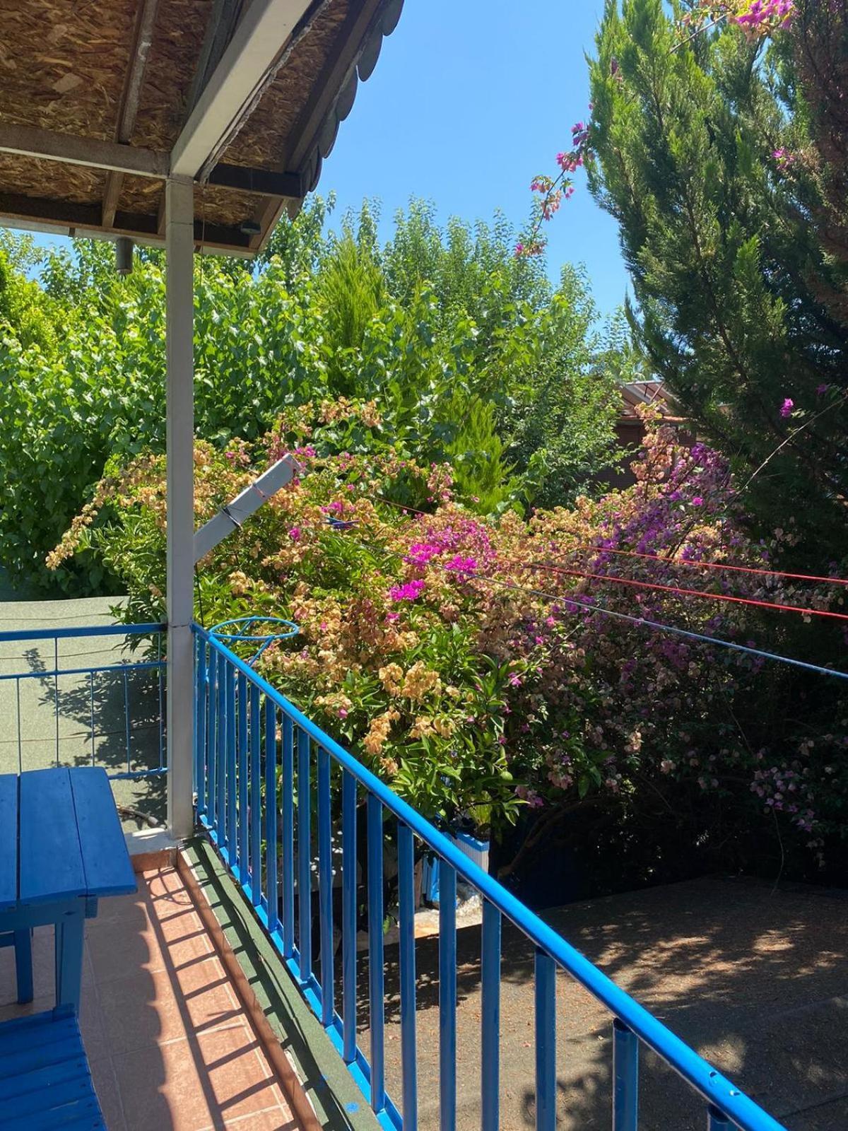 Mila Pansiyon Çıralı Exterior foto