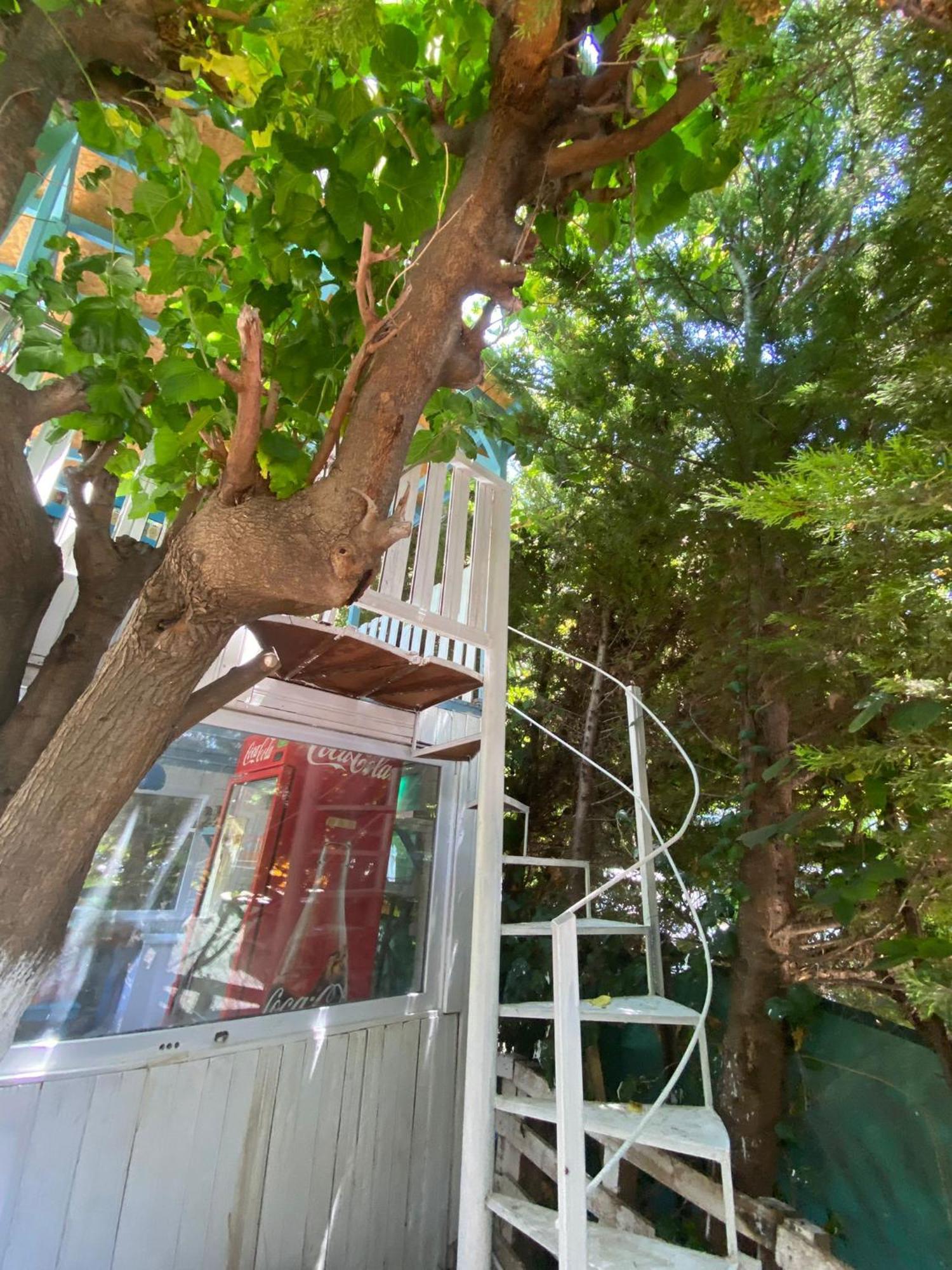 Mila Pansiyon Çıralı Exterior foto